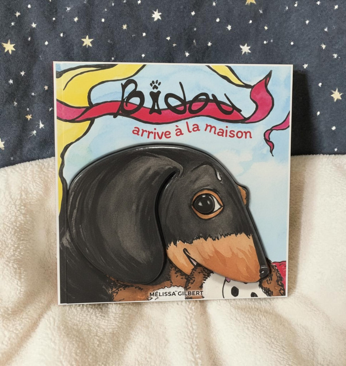 Livre Bidou arrive à la maison