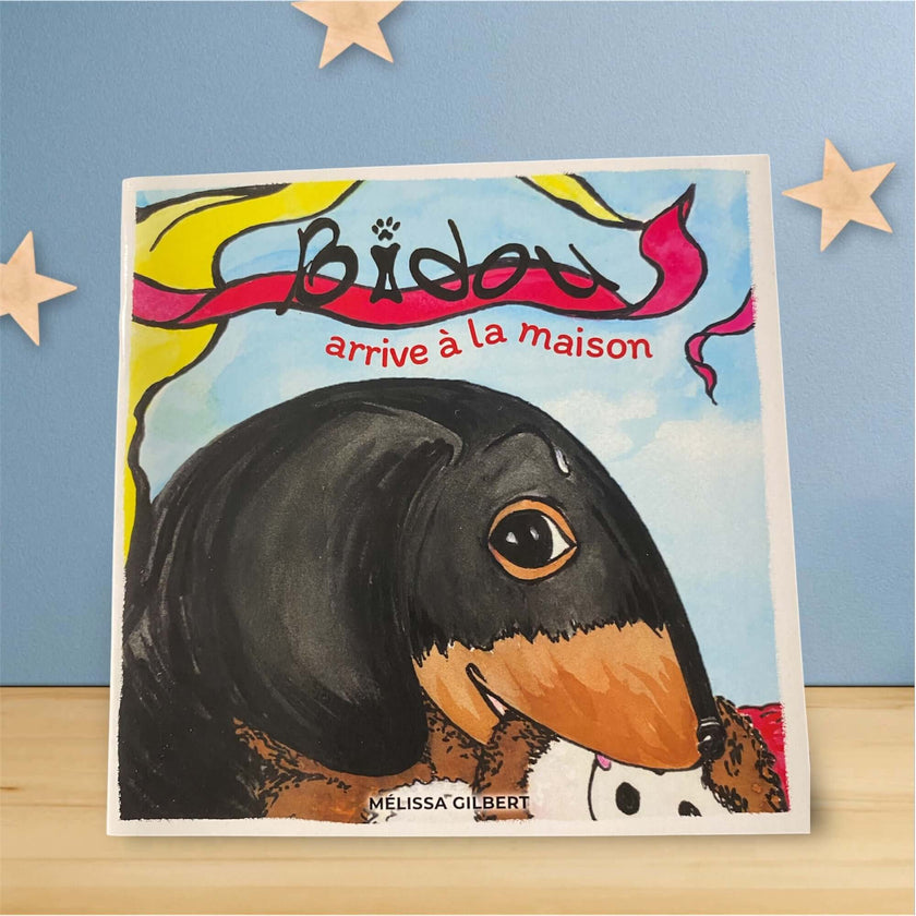 Livre Bidou arrive à la maison - Artisane éclatée