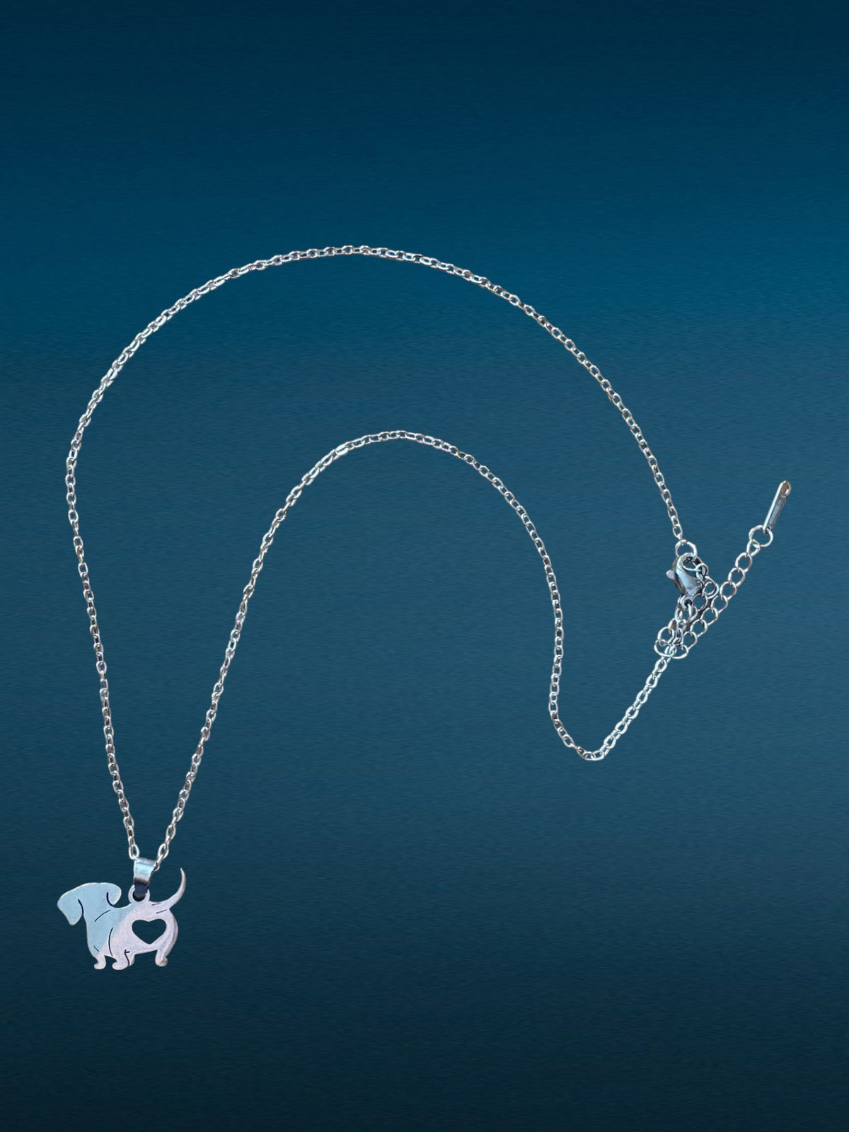 Collier teckel