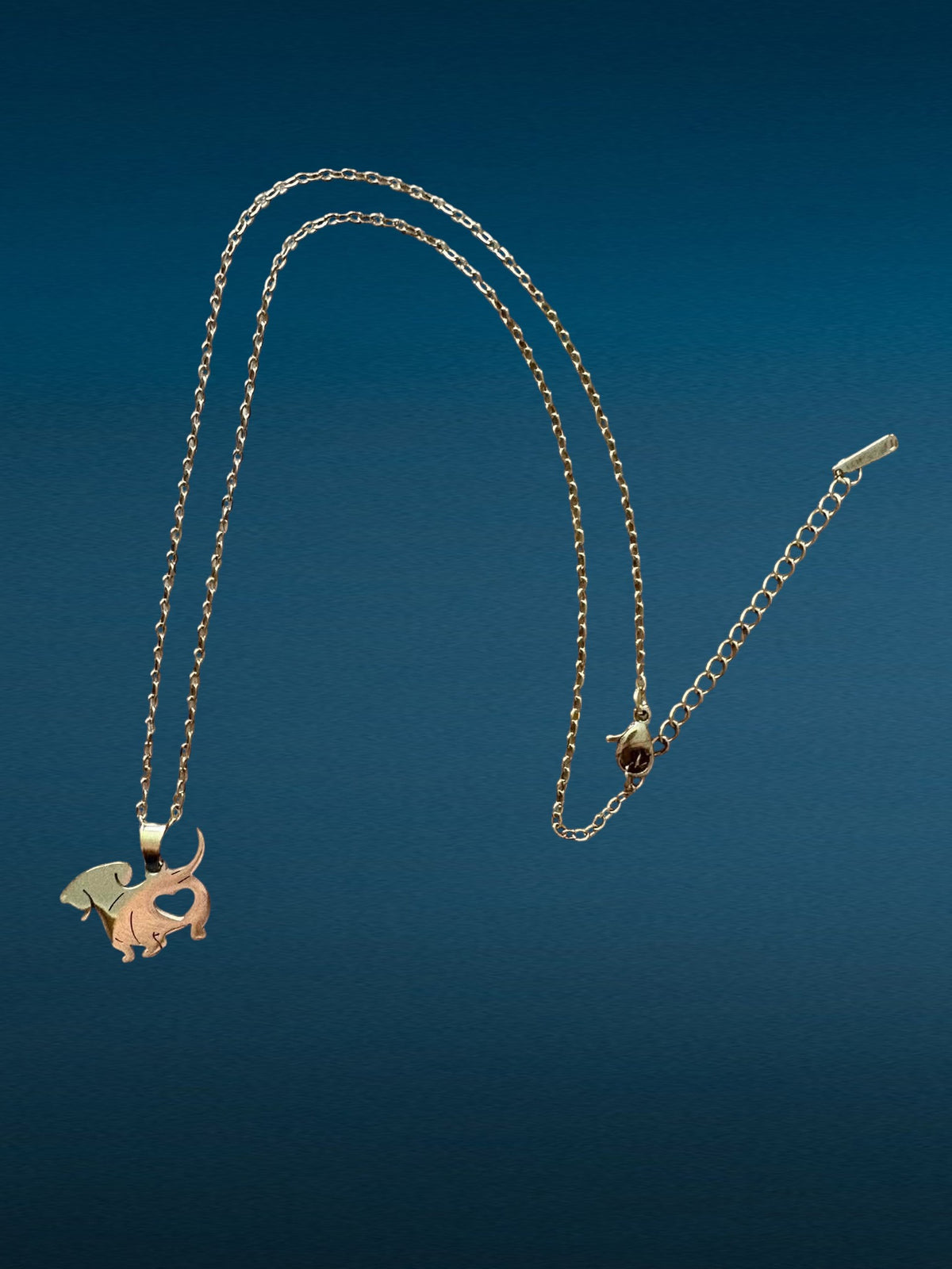 Collier teckel